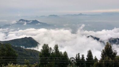 Queen of Mountains': मानसून में यहां उतरते हैं बादल... यह जगह ‘क्वीन्स ऑफ़ माउंटेन्स’ के नाम से मशहूर है; सुंदरता देखकर आप चकित रह जाएंगे