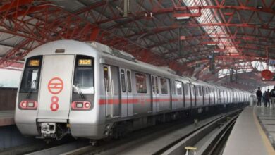 Delhi Metro के रिकॉर्ड तोड़ने के बावजूद, रेड, ब्लू और पिंक लाइन पर समस्या क्या है?