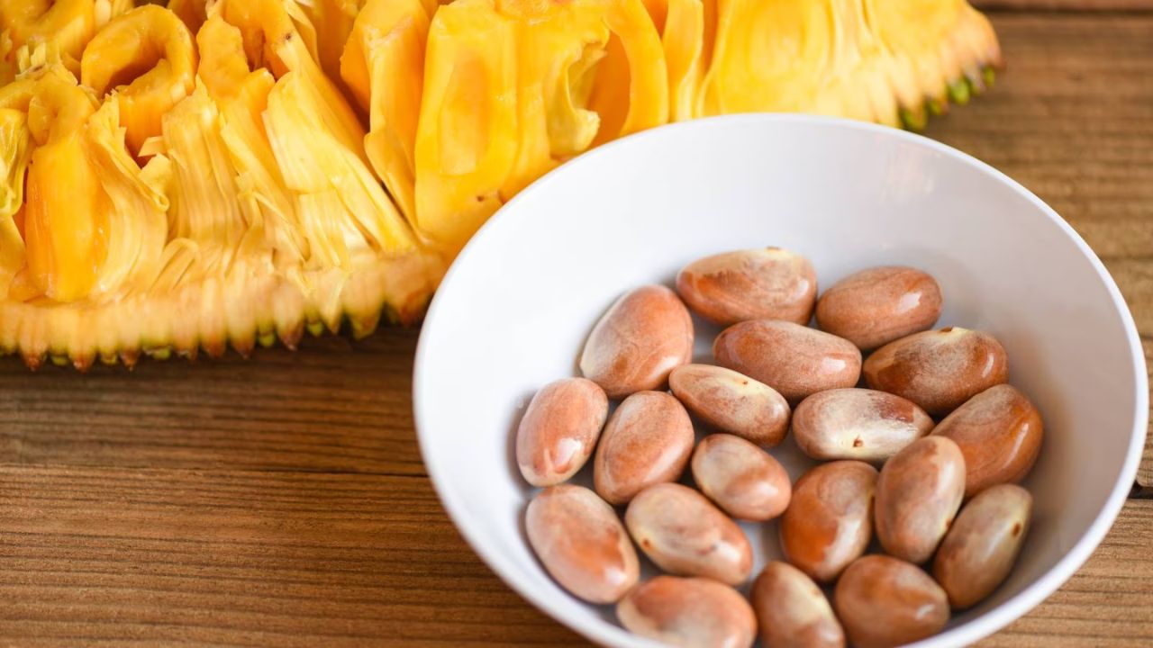 Jackfruit seeds: जो बीज सब्जी से निकालकर फेंक देते हैं, वह बादाम से भी ज्यादा पोषण देते हैं, जानिए इन्हें कैसे करें उपयोग