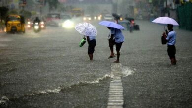 Uttarakhand weather: देहरादून समेत कई जिलों में भारी बारिश के लिए येलो अलर्ट, बदरीनाथ हाईवे बंद, 600 यात्री फंसे