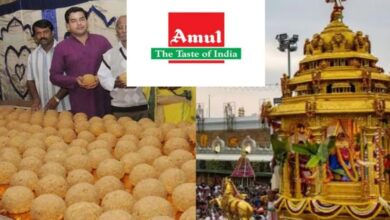 Tirupati laddu case: तिरुपति मंदिर के घी पर फैली अफवाहों के खिलाफ अमूल ने उठाया कदम