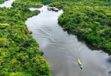 Amazon rainforest की मीथेन अवशोषण क्षमता में 70 प्रतिशत की कमी, धरती के लिए एक गंभीर चेतावनी