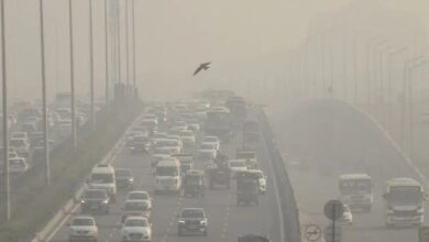 Dehradun air pollution: देहरादून में हर दिन जहरीले कण फेफड़ों में कर रहे हैं प्रवेश, राजधानी का मौसम बन गया खतरे की घंटी