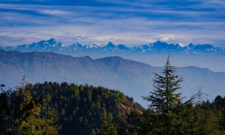 Uttarakhand Weather: मौसम ने ली करवट, मैदानी और पहाड़ी इलाकों में बढ़ी सर्दी; घने कोहरे के लिए येलो अलर्ट