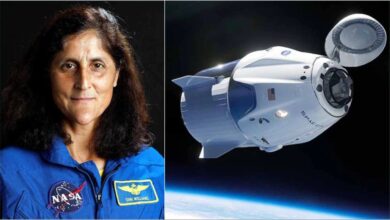 Sunita Williams ने अंतरिक्ष में मनाया थैंक्सगिविंग, नासा ने विशेष मेन्यू दिया