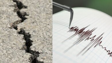 Earthquake: तेलंगाना और आंध्र प्रदेश में भूकंप के झटके, 20 वर्षों में सबसे शक्तिशाली भूकंप ने मचाई हलचल