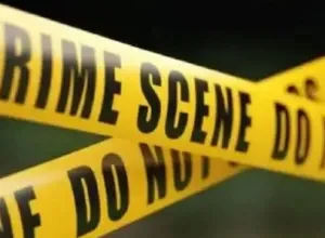 Crime: तस्करों ने दो वन दारोगा पर किया हमला, हमलावरों की तलाश शुरू